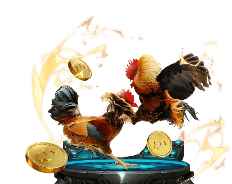 Các tính năng cá cược đá gà